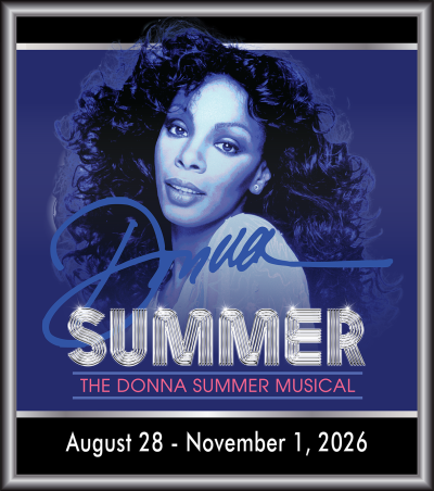 donnasummermusical State Organs Documentary Flyer